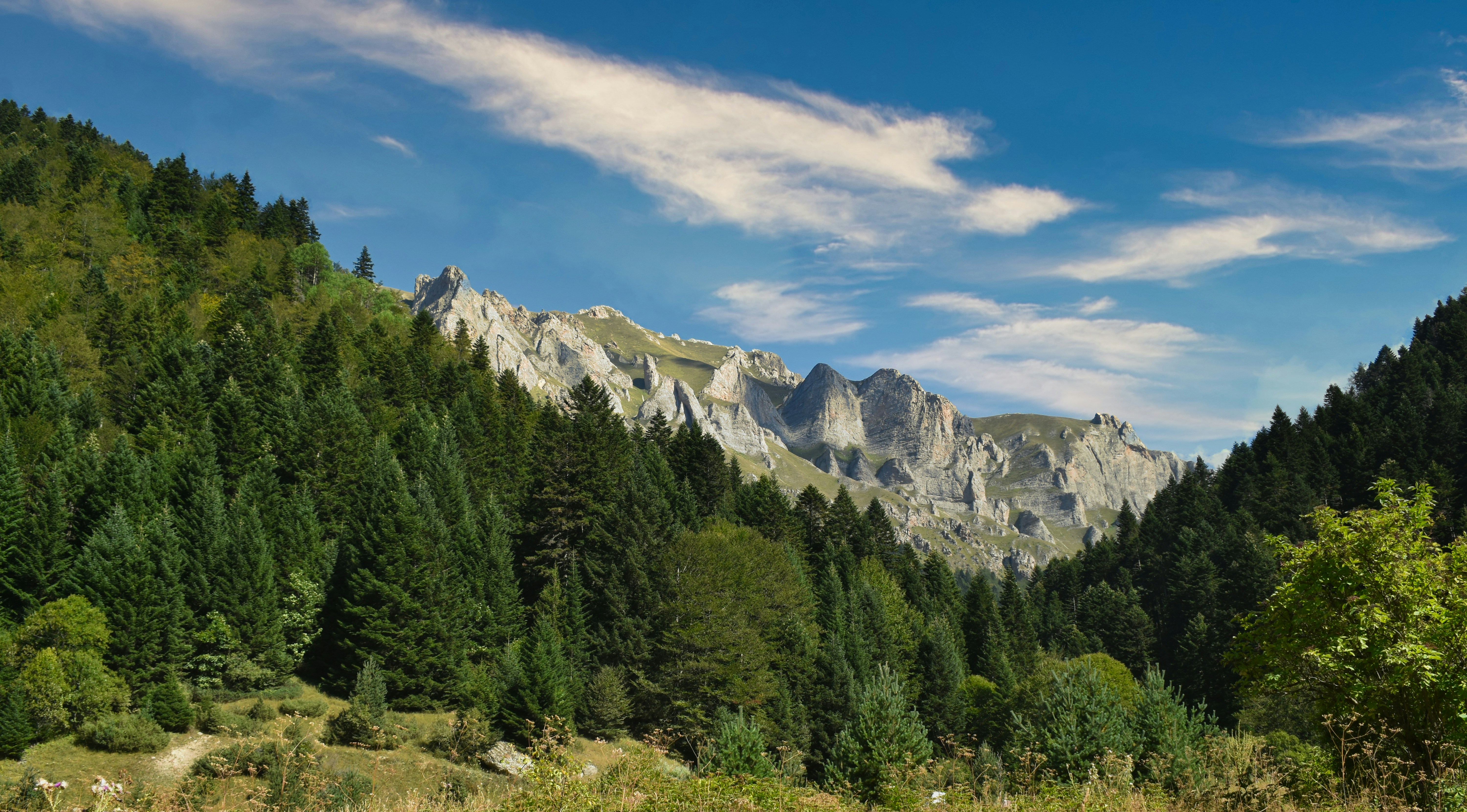 mountain